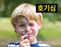 [톡톡카드뉴스] 호기심