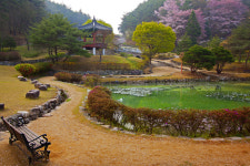 안동시청 사진동호회 여섯번째 사진전…11일까지