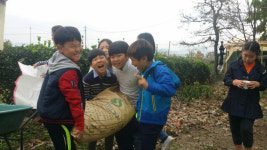 상주 백원초, 가래떡데이 행사