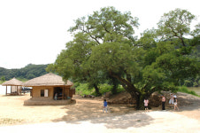 만추의 예천 관광8경 속으로 떠나보자