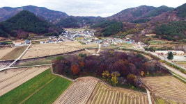 [스카이뷰] 하늘에서 본 영덕군 도천숲