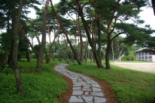 [고향&인물] 15. 포항시 청하면