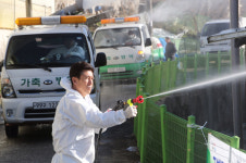 포항시 고병원성 AI 유입차단 방역활동 총력