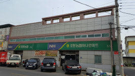 포항농협, 동부 하나로마트·채소공판장 매각하나?