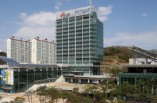 포항시, 10년간 2천만그루 나무 심는다