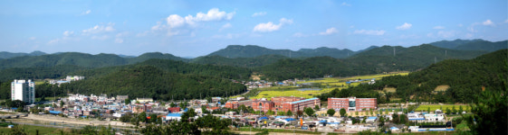 [고향&인물] 19. 구미시 장천면