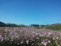 [고향&인물] 19. 구미시 장천면