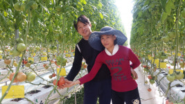 [농업이 미래다] 6. 경주시, 스마트 팜 도입