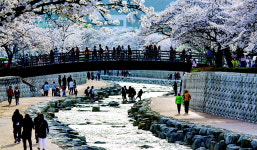 구미 금오산·금오지 올레길 함께 걸어요