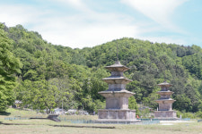 [해파랑길을 걷다] 3. 봉길해변~나정해변