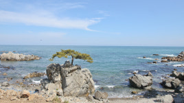[해파랑길을 걷다] 3. 봉길해변~나정해변