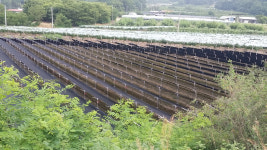 [고향&인물] 28. 김천시 아포읍