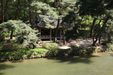 [정자] 67. 영주 경렴정(景濂亭)