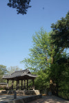 [정자] 67. 영주 경렴정(景濂亭)