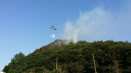 [속보] 포항 운제산 산불 발생…오어사 입구 야산