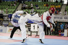 육군 제2작전사령부, 민·관·군 한마음 태권도 대회 개최