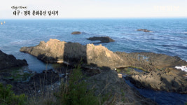 양남문화장식 | [대구·경북 문화유산답사기] 3. 경주 양남 주상절리