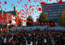 쌀소비 증대를 위한 전통주 활성화 방안(4)