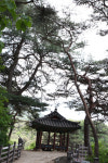 [정자] 74. 제천 탁사정(濯斯亭)