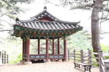 [정자] 74. 제천 탁사정(濯斯亭)