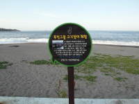 [해파랑길을 걷다]7. 포항 장기면 신창리~모포리
