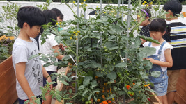 포항농기센터, 대이초 대상 원예활동