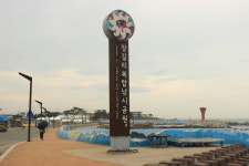 [해파랑길을 걷다]8. 포항 장기면 모포항~구룡포
