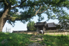 [정자] 79. 예천 삼수정(三樹亭)