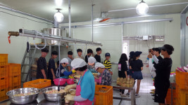 상주시 4-H 연합회, 영덕서 야영교육 개최