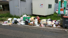 영덕 강구면, 상습 쓰레기 불법투기 지역이 꽃길로 거듭