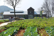 농업의 6차 산업화가 지역경제 활성화의 미래다