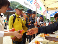 명품청송GAP자두사업단, 주왕산 입구서 홍보행사 개최