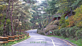 상주 한방산업단지관리사업소, 휴양림 연휴동안 무료 개방