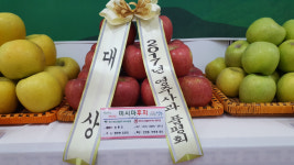 고개마루농장 정동진씨 2017 최고의 영주사과 대상