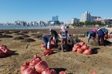 포항 두호동주민센터, 영일대해수욕장 백사장 정화활동
