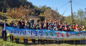 상주시 산림녹지과, 서곡동서 감 수확 일손 도와