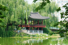[정자] 91. 이천 애련정(愛蓮亭)
