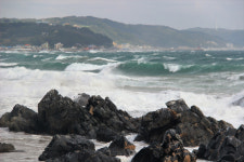 [해파랑길을 걷다] 16. 구계항~강구항