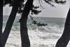 [해파랑길을 걷다] 16. 구계항~강구항