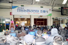 안동농협 농산물공판장, 올해 첫 경매