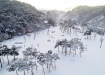 안동 제비원 솔씨공원, 순백의 아름다움 연출