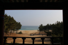 [해파랑길을 걷다] 21. 후포항~기성공용버스터미널