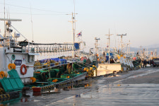 [해파랑길을 걷다] 21. 후포항~기성공용버스터미널