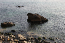 [해파랑길을 걷다] 21. 후포항~기성공용버스터미널