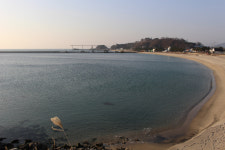 [해파랑길을 걷다] 21. 후포항~기성공용버스터미널