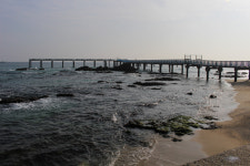 [해파랑길을 걷다] 21. 후포항~기성공용버스터미널