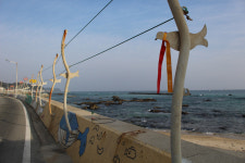 [해파랑길을 걷다] 21. 후포항~기성공용버스터미널