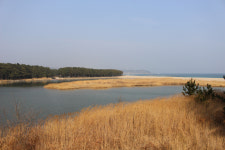 [해파랑길을 걷다] 21. 후포항~기성공용버스터미널