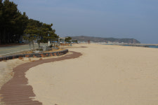 [해파랑길을 걷다] 21. 후포항~기성공용버스터미널