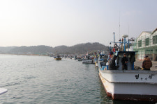 [해파랑길을 걷다] 21. 후포항~기성공용버스터미널